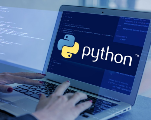 Python Development Services